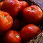 Tomate